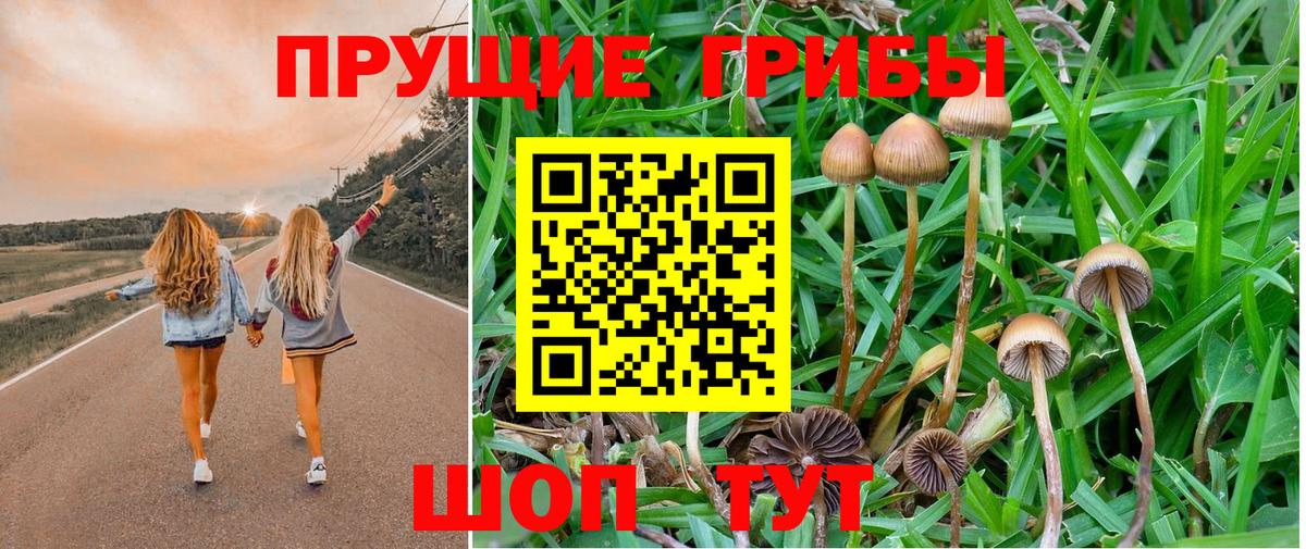 Галлюциногенные грибы Psilocybine cubensis  Вход с VPN  купить   Великий Устюг 