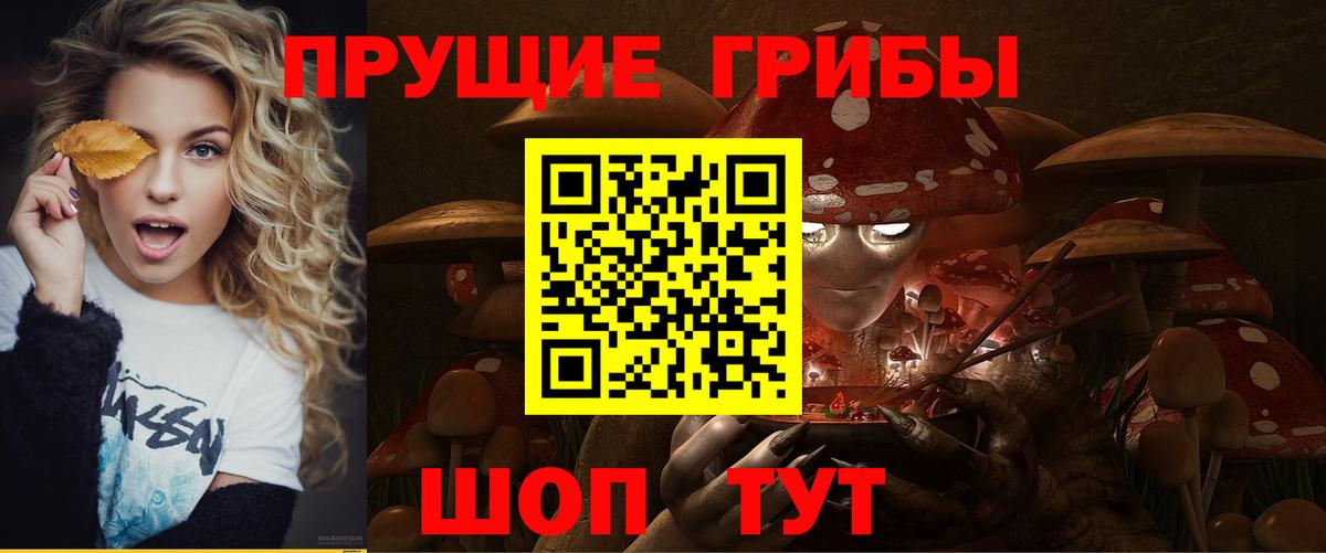 Галлюциногенные грибы мухоморы Великий Устюг