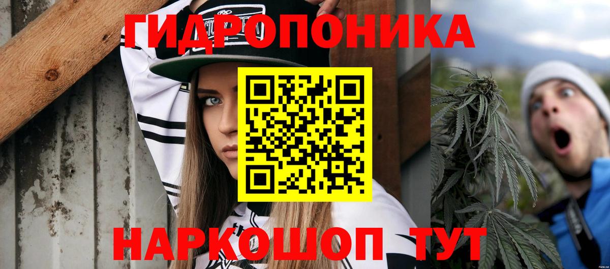 Бошки марихуана тримм  Вход с VPN  МАРИХУАНА Amnesia  Каннабис семена  Великий Устюг 