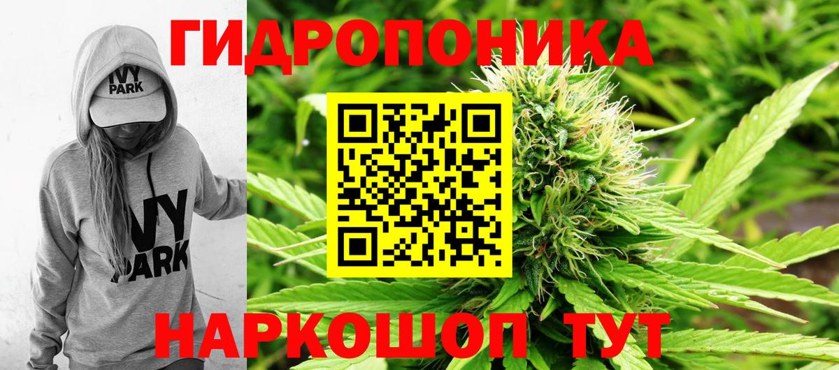 Марихуана THC 21% Великий Устюг